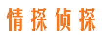 江永侦探公司